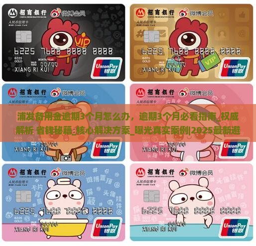 浦发备用金逾期3个月怎么办