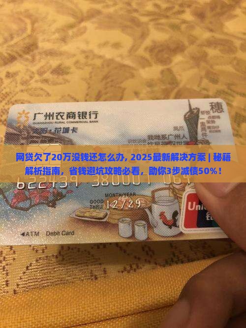 网贷欠了20万没钱还怎么办