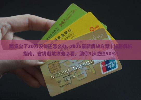 网贷欠了20万没钱还怎么办
