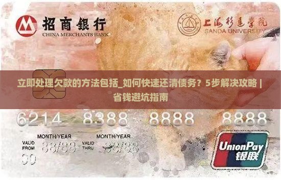 立即处理欠款的方法包括