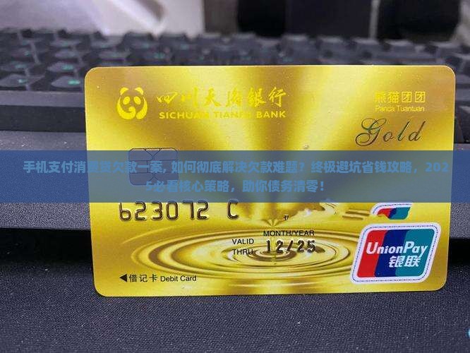 手机支付消费贷欠款一案