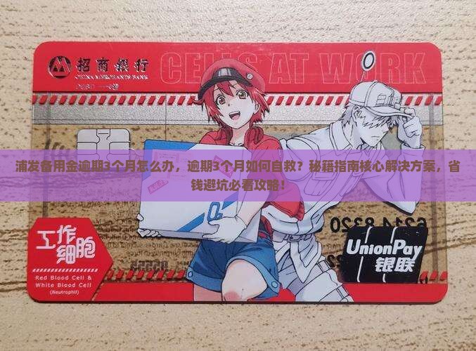 浦发备用金逾期3个月怎么办