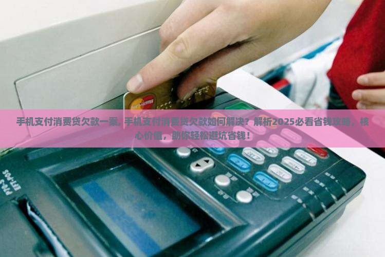 手机支付消费贷欠款一案