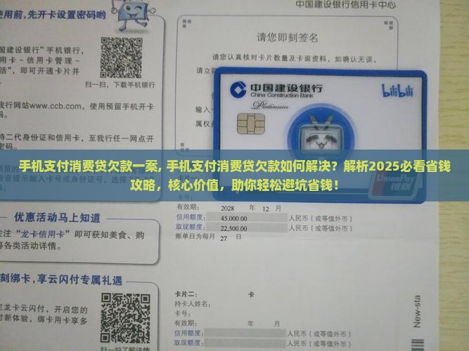 手机支付消费贷欠款一案