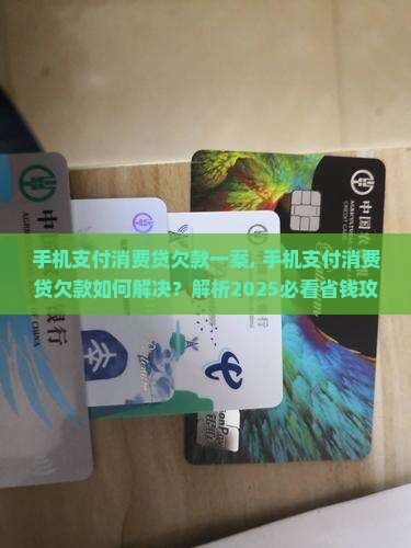 手机支付消费贷欠款一案
