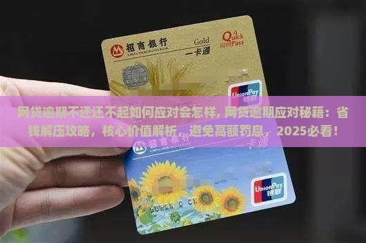 网贷逾期不还还不起如何应对会怎样