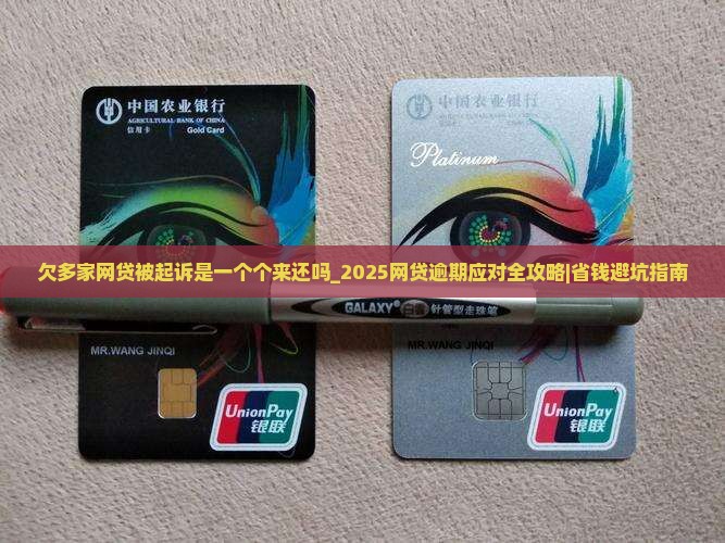 欠多家网贷被起诉是一个个来还吗