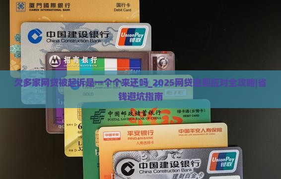 欠多家网贷被起诉是一个个来还吗