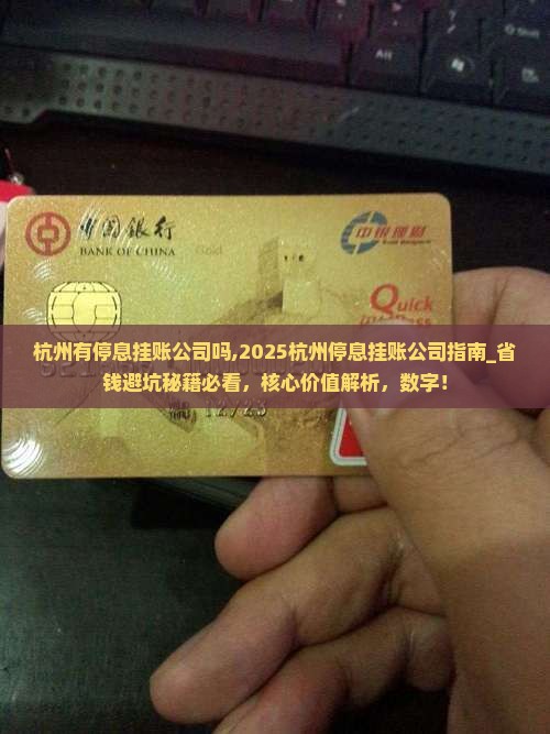杭州有停息挂账公司吗