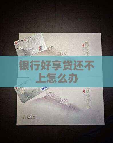 银行好享贷还不上怎么办