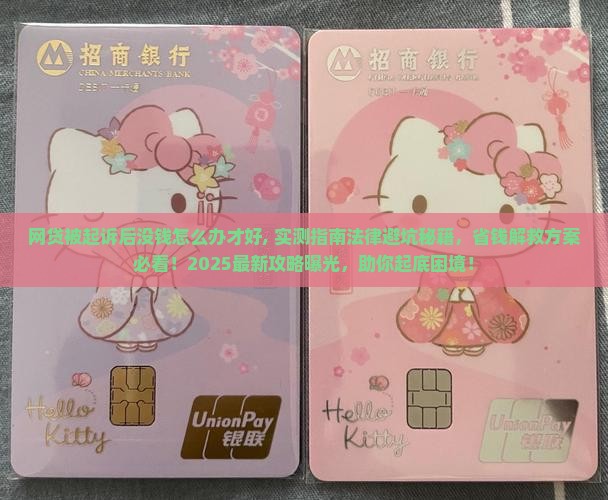 网贷被起诉后没钱怎么办才好