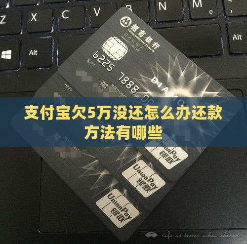支付宝欠5万没还怎么办还款方法有哪些
