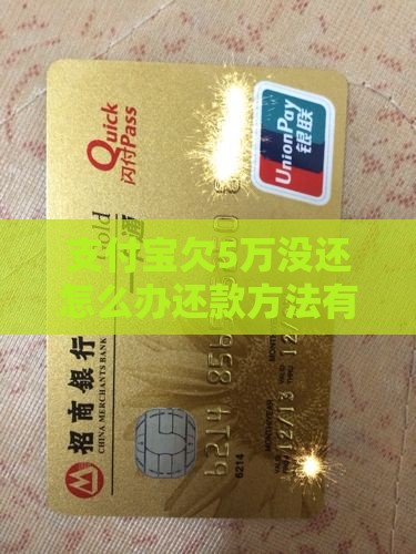 支付宝欠5万没还怎么办还款方法有哪些