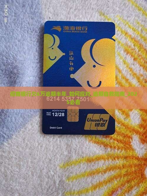 招商银行欠6万逾期半年