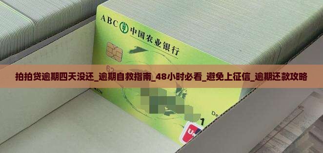 拍拍贷逾期四天没还怎么办 拍拍贷逾期四天没还怎么办