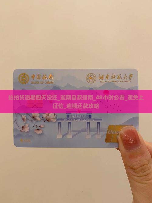 拍拍贷逾期四天没还怎么办 拍拍贷逾期四天没还怎么办