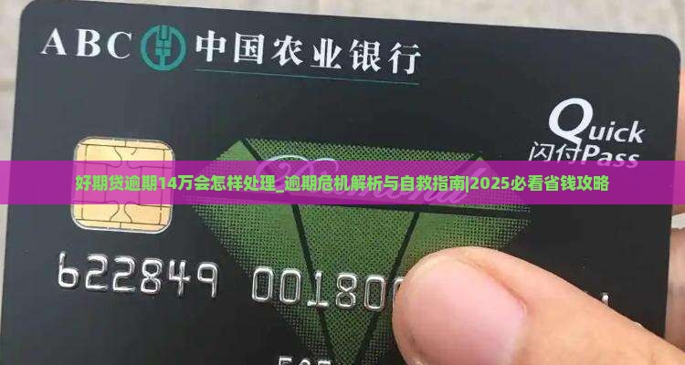 好期贷逾期14万会怎样处理