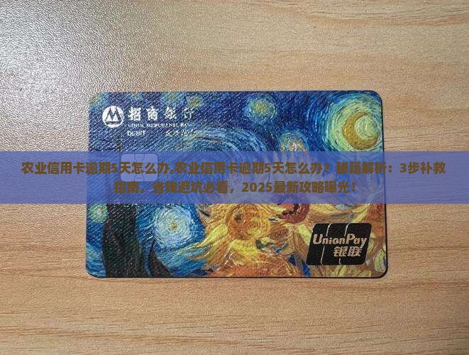 农业信用卡逾期5天怎么办