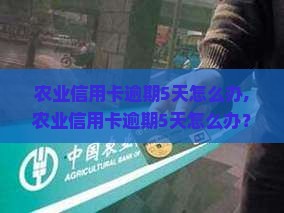 农业信用卡逾期5天怎么办