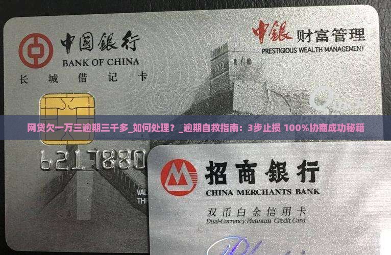 网贷欠一万三逾期三千多如何处理