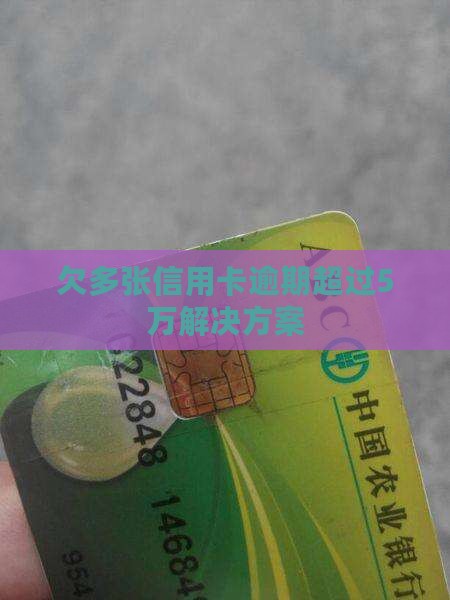 欠多张信用卡逾期超过5万解决方案