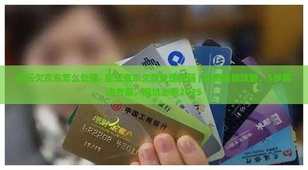 密云欠京东白条怎么处理