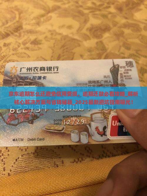 京东白条逾期怎么还避免信用受损