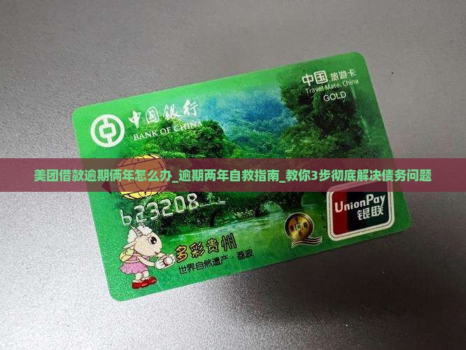 美团借款逾期俩年怎么办