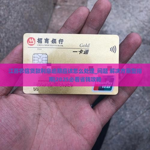 江苏农信贷款利息逾期应该怎么处理