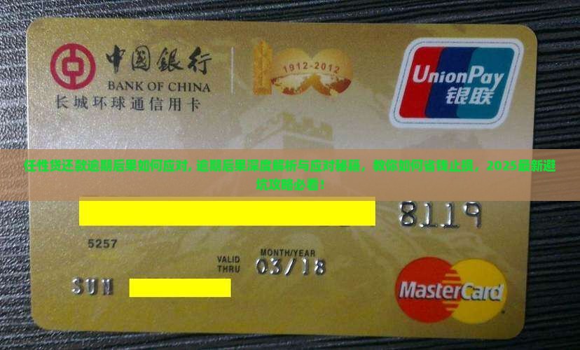 任性贷还款逾期后果如何应对