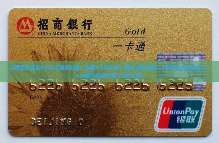 消费金融逾期1个月了如何处理