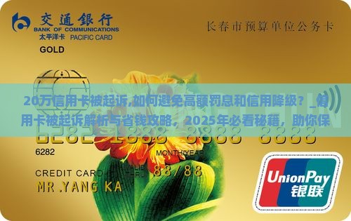 20万信用卡被起诉