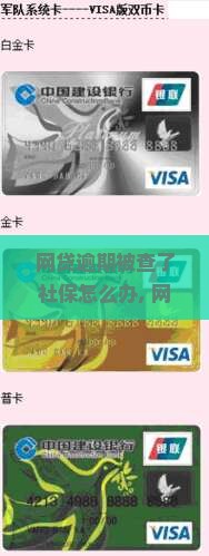 网贷逾期被查了社保怎么办