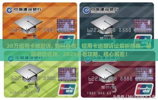 20万信用卡被起诉