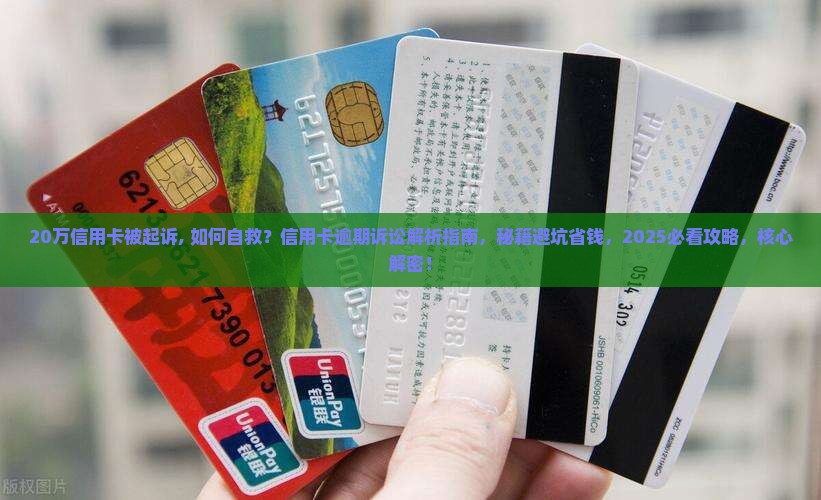 20万信用卡被起诉