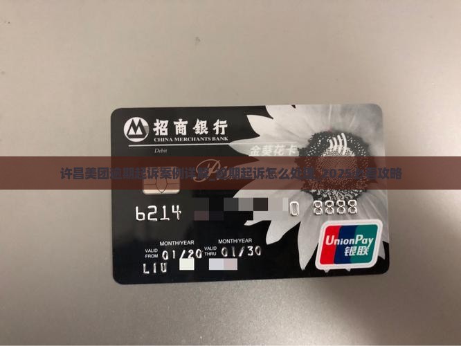 许昌美团逾期起诉案例详解