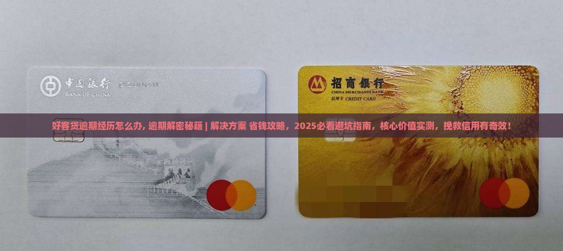 好客贷逾期经历怎么办