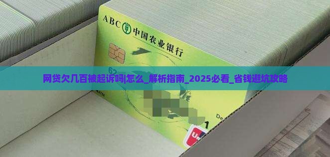 网贷欠几百被起诉吗怎么办理
