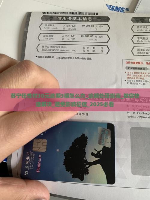 苏宁任性付30元逾期3期该怎么办