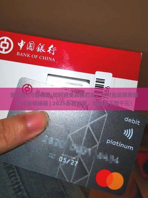 支付宝3万逾期费