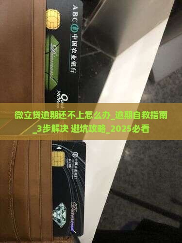 微立贷逾期还不上怎么办解决方法