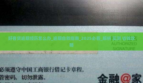 好客贷逾期经历怎么办