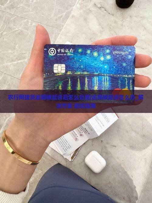 农行网捷贷逾期被起诉后怎么处理