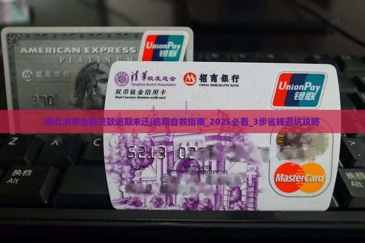 湖北消费金融贷款逾期未还怎么办