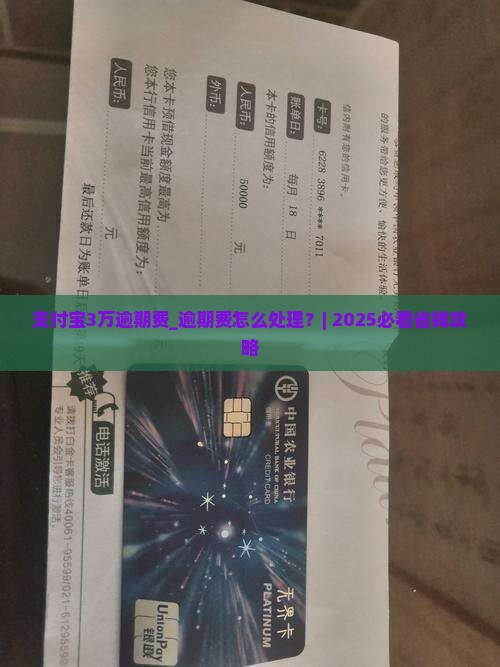 支付宝3万逾期费