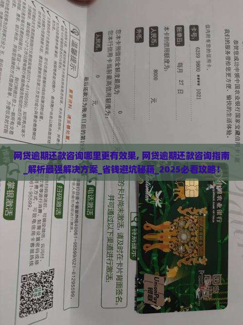 网贷逾期还款咨询哪里更有效果