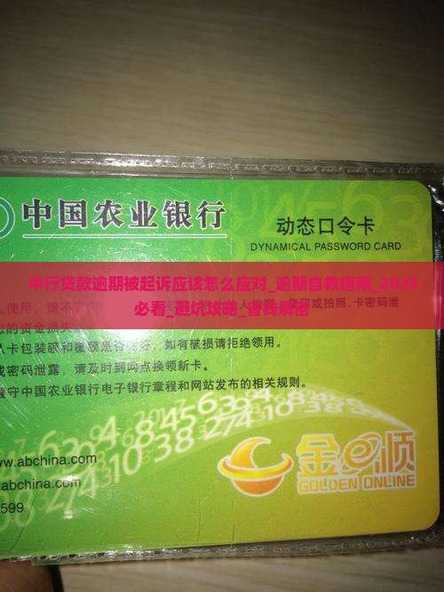 中行贷款逾期被起诉应该怎么应对