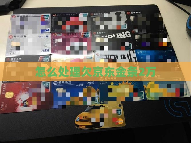 怎么处理欠京东白条金条2万
