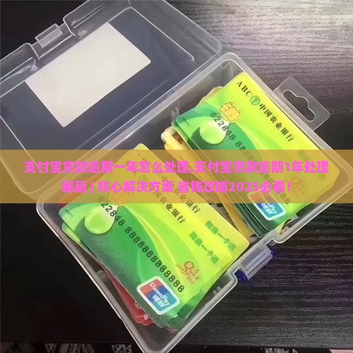 支付宝贷款逾期一年怎么处理