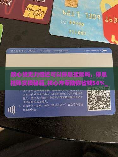 放心贷无力偿还可以停息挂账吗